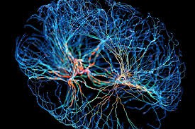 Terapi neuroplastisitas dan cermin